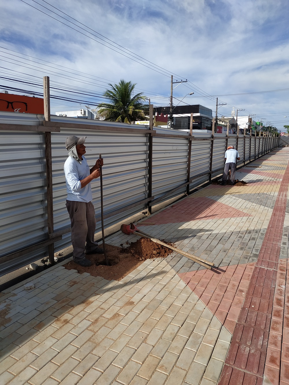 26.8PLANTIO ÁRVORE_20200113_075809.jpg