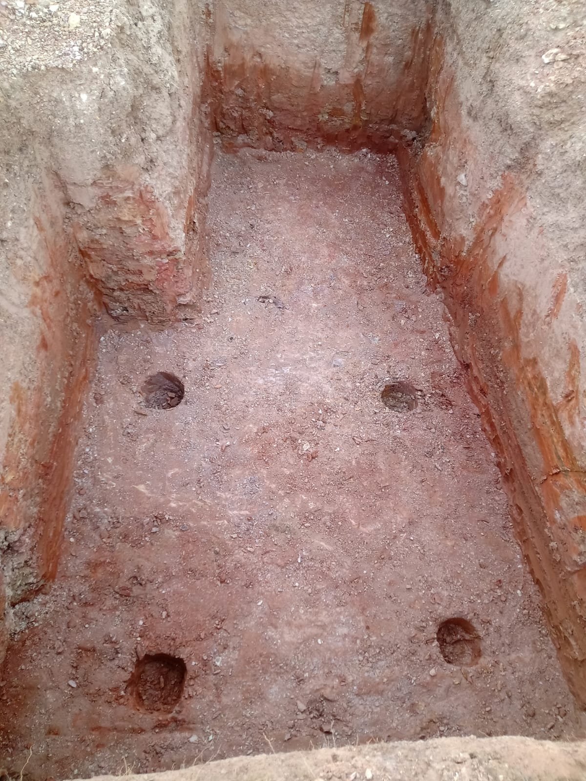 WhatsApp Image 2021-10-15 at 19.20.56 (2).jpeg