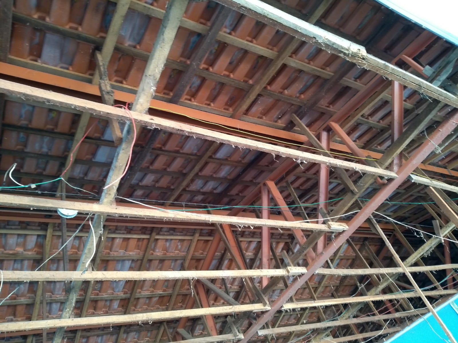 WhatsApp Image 2021-08-20 at 14.46.42.jpeg